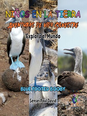 cover image of Explora el Mundo Blue Footed Booby